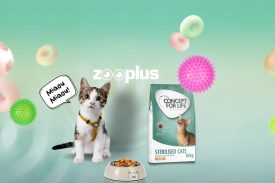 Code promo Zoo plus