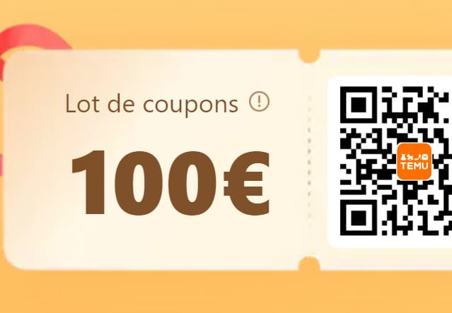 Lot coupons Temu 100 euros